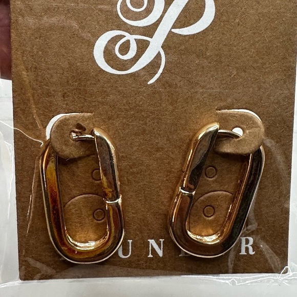 Plunder Jewelry - PLUNDER Goldtone Medium Chic Casual Earrings